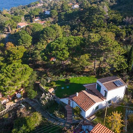 Villa Caterina Quiete E Mare-Goelba SantʼAndrea Dış mekan fotoğraf