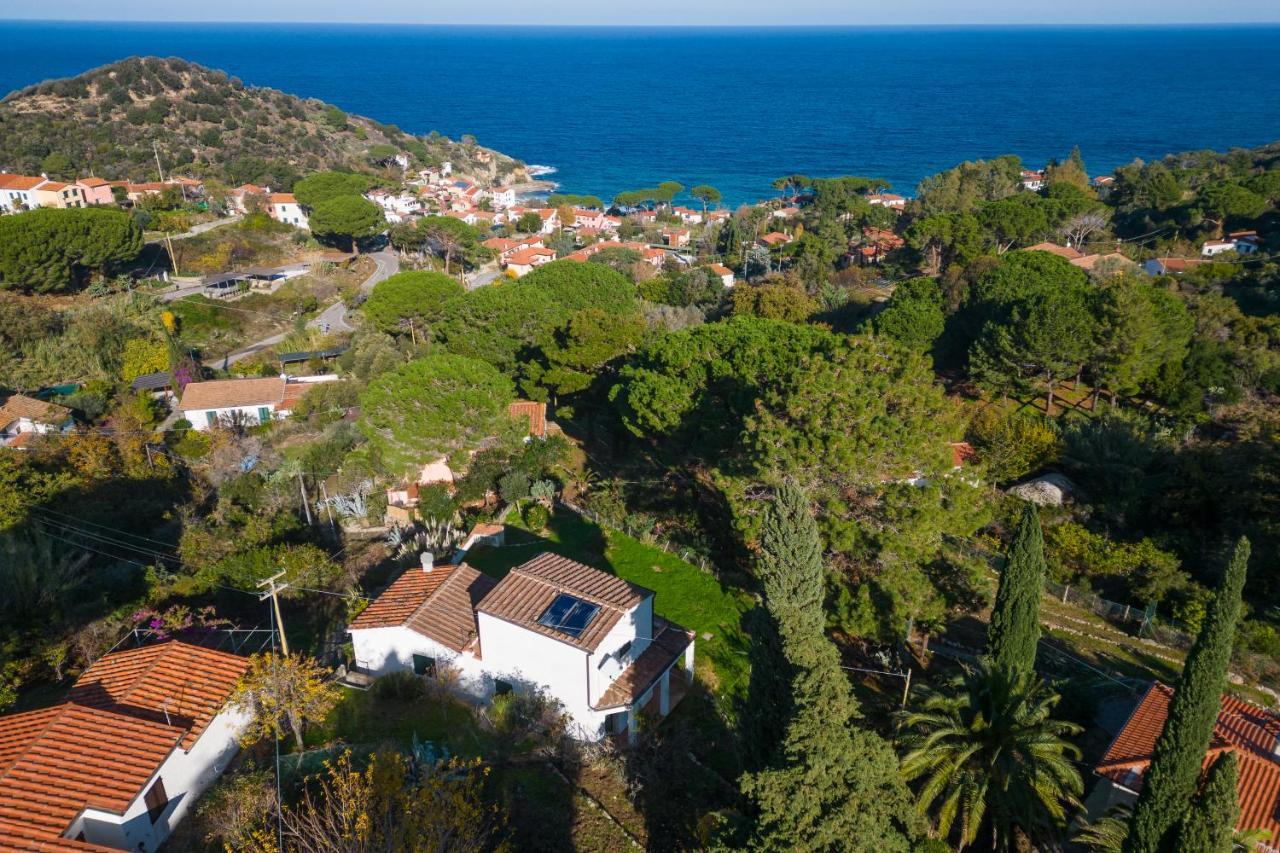 Villa Caterina Quiete E Mare-Goelba SantʼAndrea Dış mekan fotoğraf