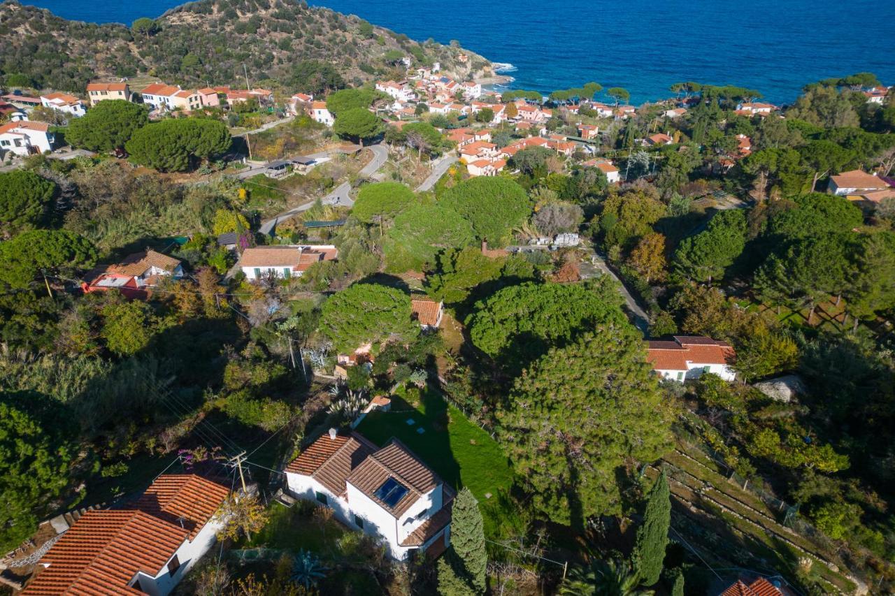 Villa Caterina Quiete E Mare-Goelba SantʼAndrea Dış mekan fotoğraf