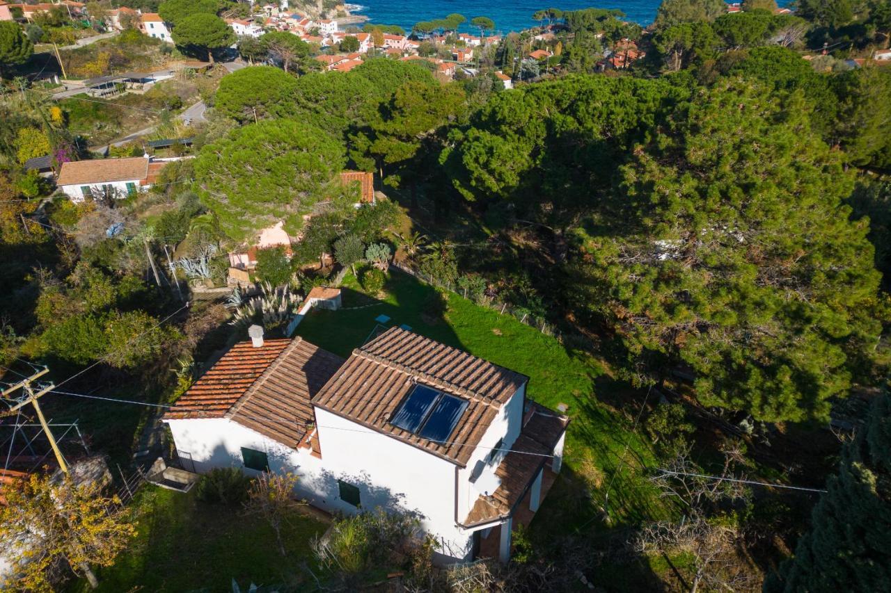 Villa Caterina Quiete E Mare-Goelba SantʼAndrea Dış mekan fotoğraf