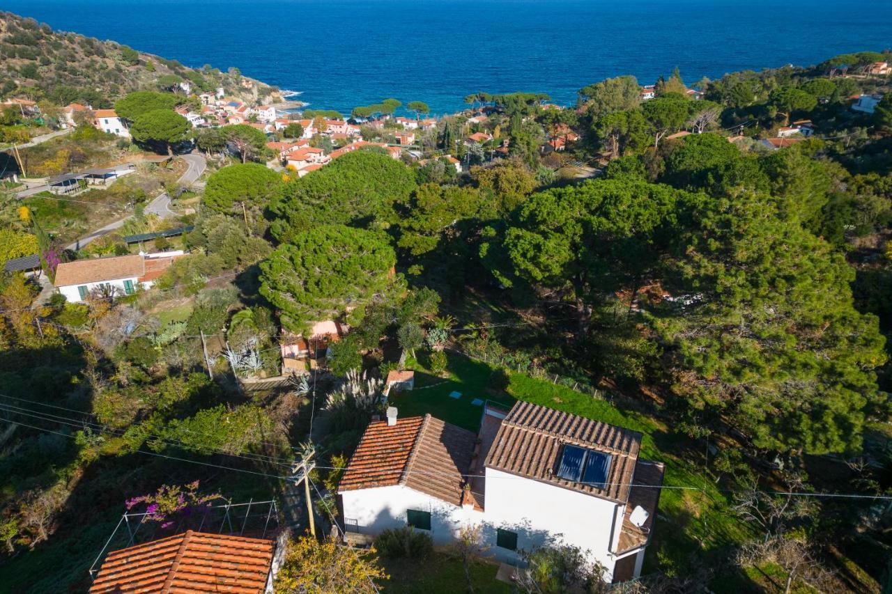 Villa Caterina Quiete E Mare-Goelba SantʼAndrea Dış mekan fotoğraf